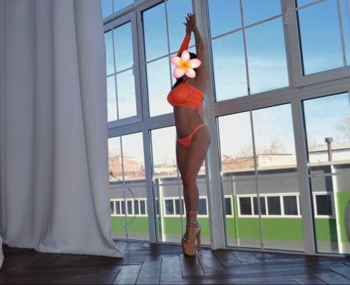 Соня, 8 923 221-29-85, от 3000 руб. в час