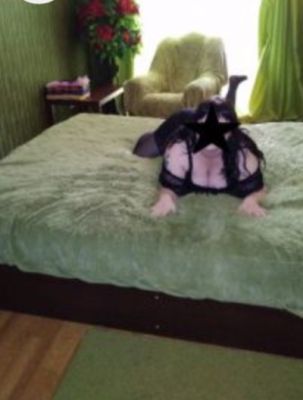 Леночка  фото 100%, 8 923 229-97-74